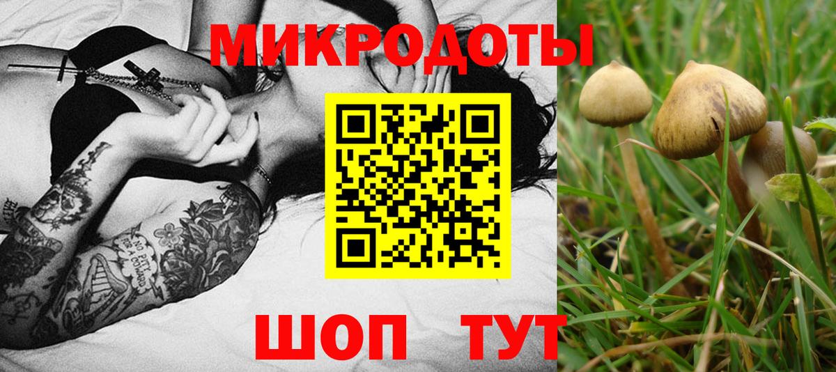 Псилоцибиновые грибы Psilocybe  продажа наркотиков  Шадринск  Вход с VPN 