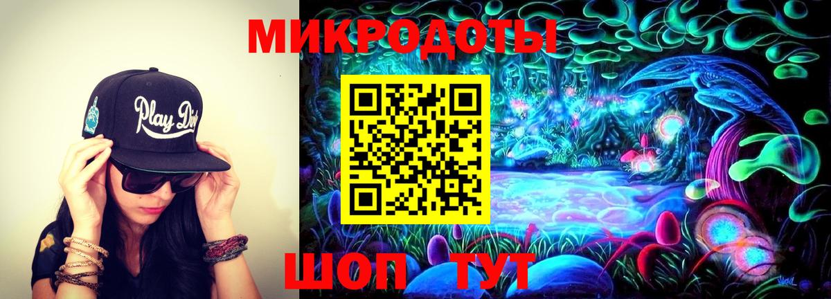 Псилоцибиновые грибы Psilocybine cubensis Шадринск